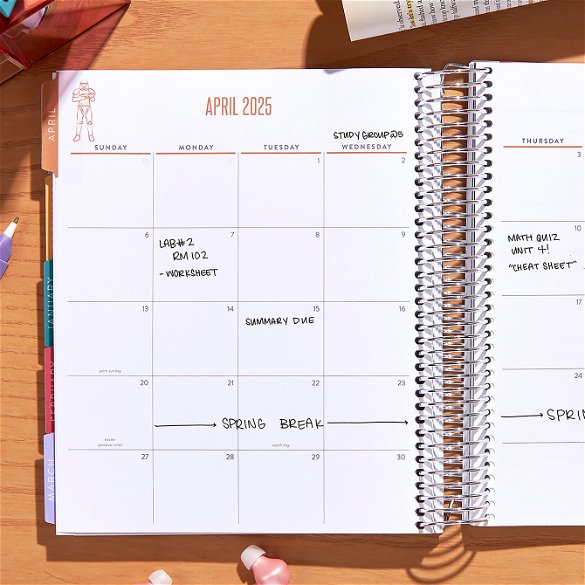 Special Edition Star Wars Galaxy Passport Academic Planner | Erin Condren