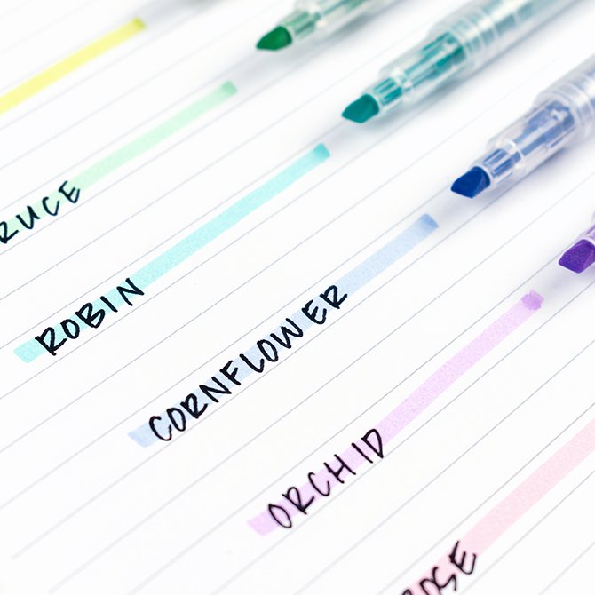 Pastel and Black Dual-Ink Dual-Tip Highlighter Pens 6-Pack | Erin Condren