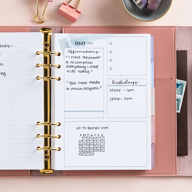 Blush A5 Daily Life Planner Ring Agenda by Erin Condren | 2023 - 2024