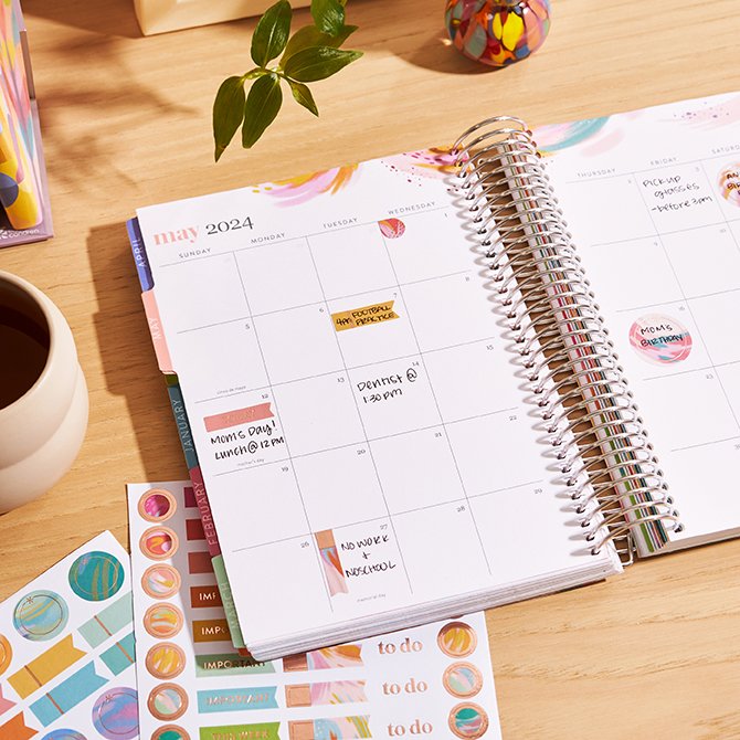 Inspire Assorted A5 LifePlanner™ Sticker Pack | Erin Condren