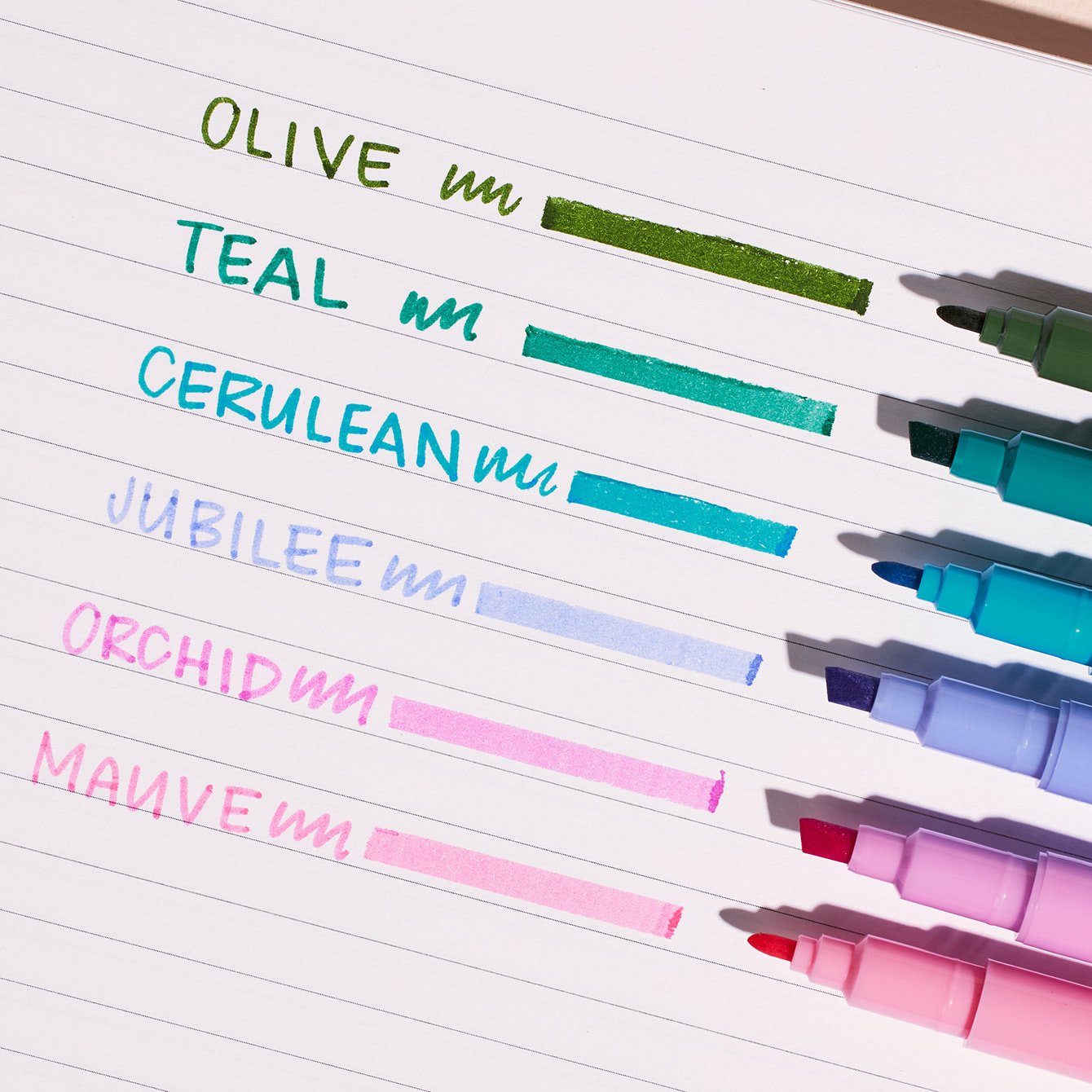 Wellness Dual-Tip Markers 6-Pack | Erin Condren