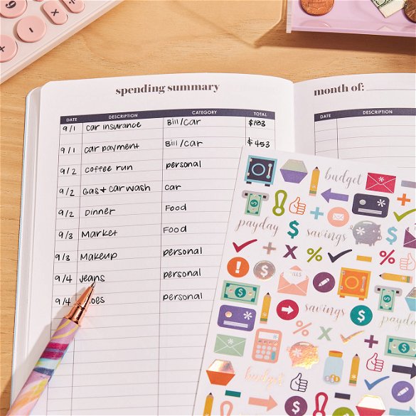 ErinCondren Budget Book