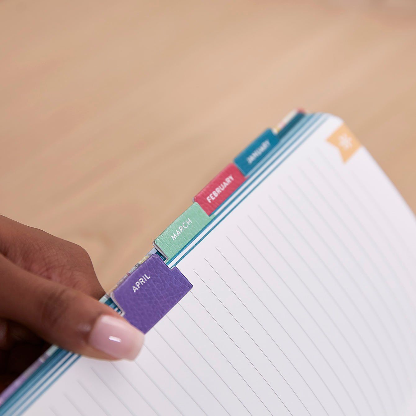 Colorful Softbound Teacher Lesson Planner Bundle Erin Condren