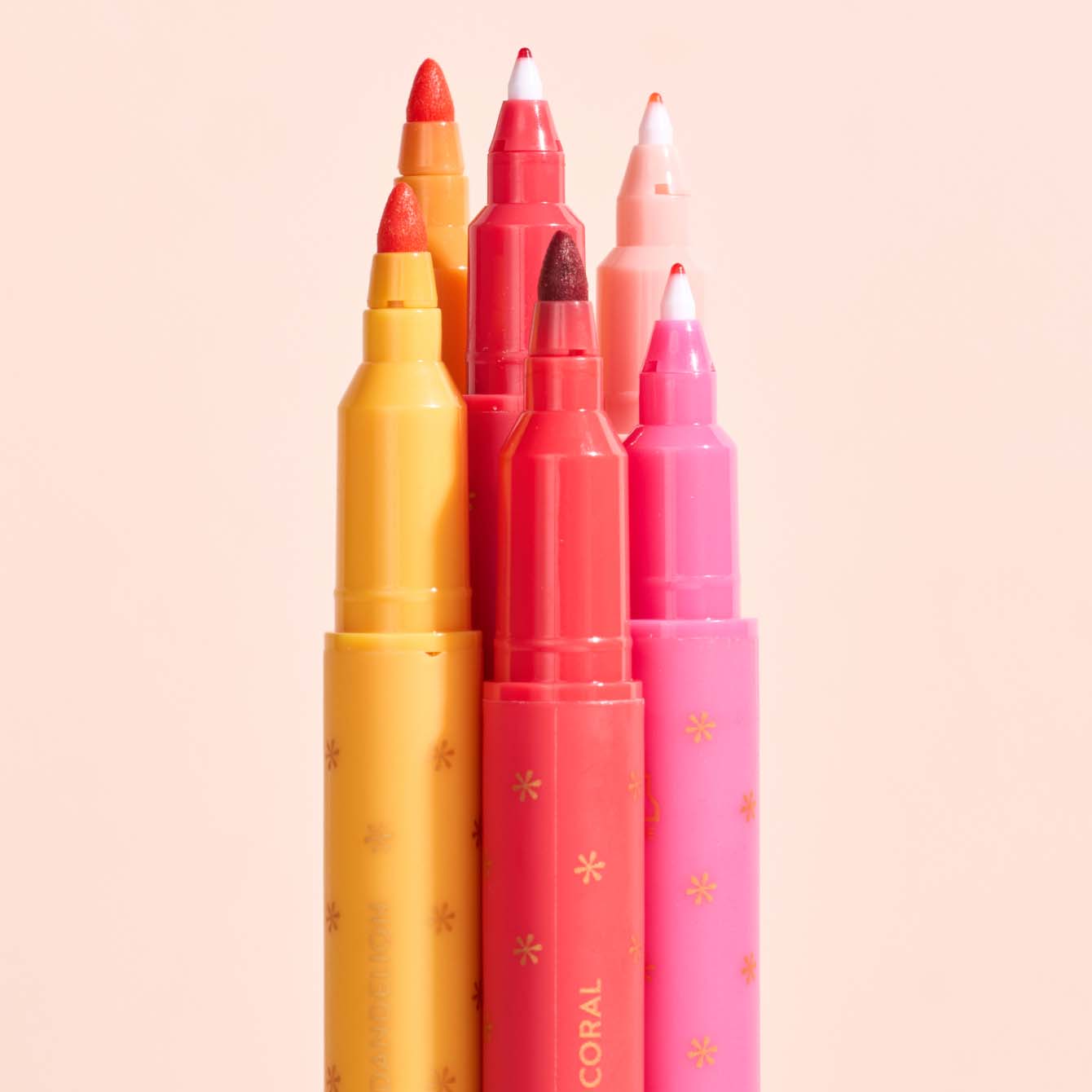 (194)直筆サイン入りELAST iDENTIFICATION NATURE Sunset Dual-Tip Markers 6-Pack | Erin Condren