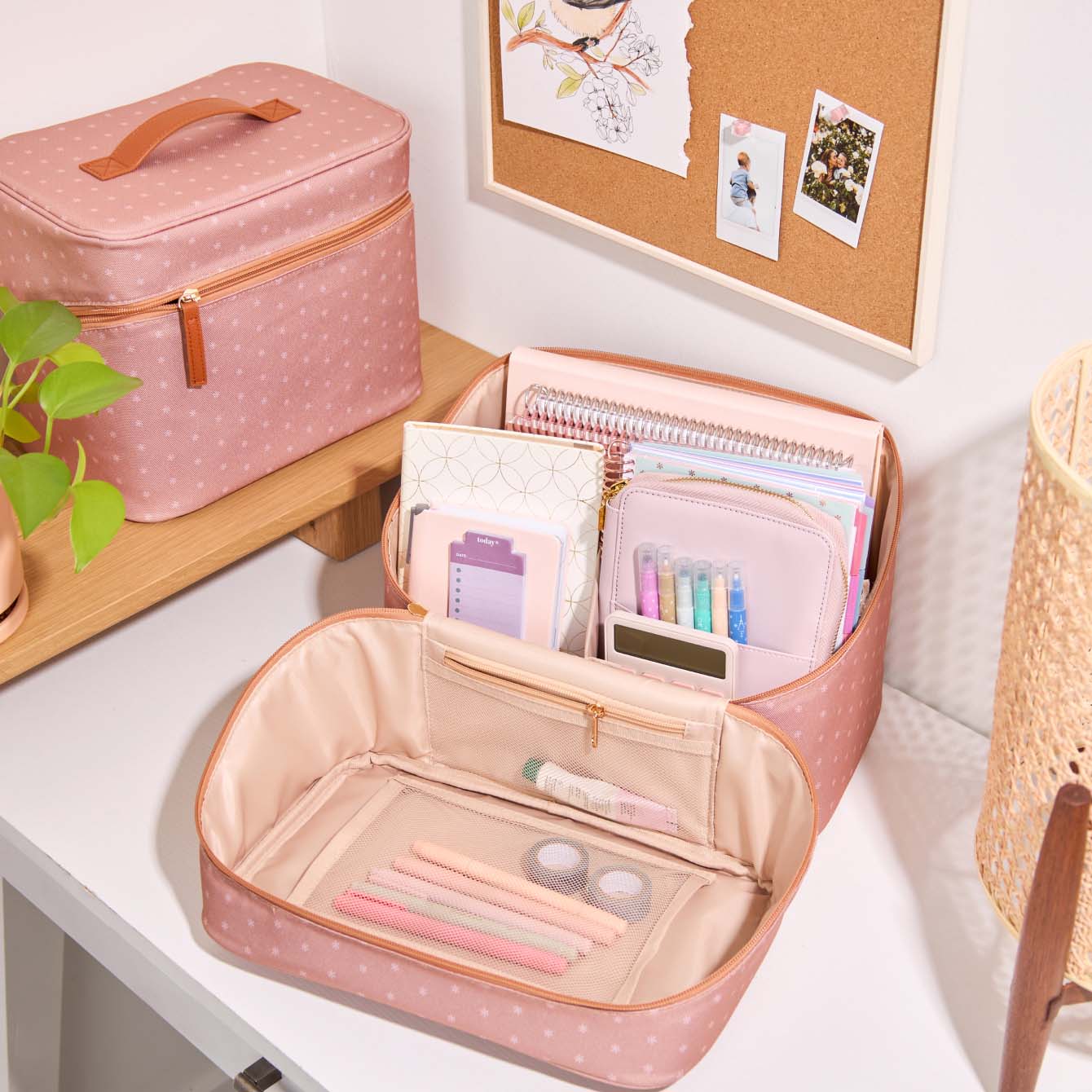 Terracotta Asterisk Large Organizer Case | Erin Condren