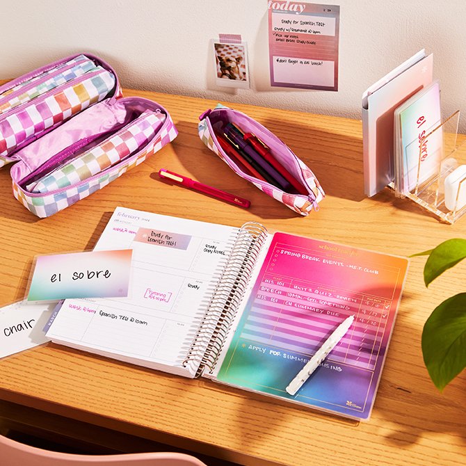 Teacher Accessories Bundle by Erin Condren