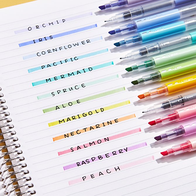 Erin Condren Variety Writing Tools Pack - 12 Pack In Bloom Highlighters and  Dual-Tip Markers for Writing, Color-Coding, Hand lettering, Stenciling and