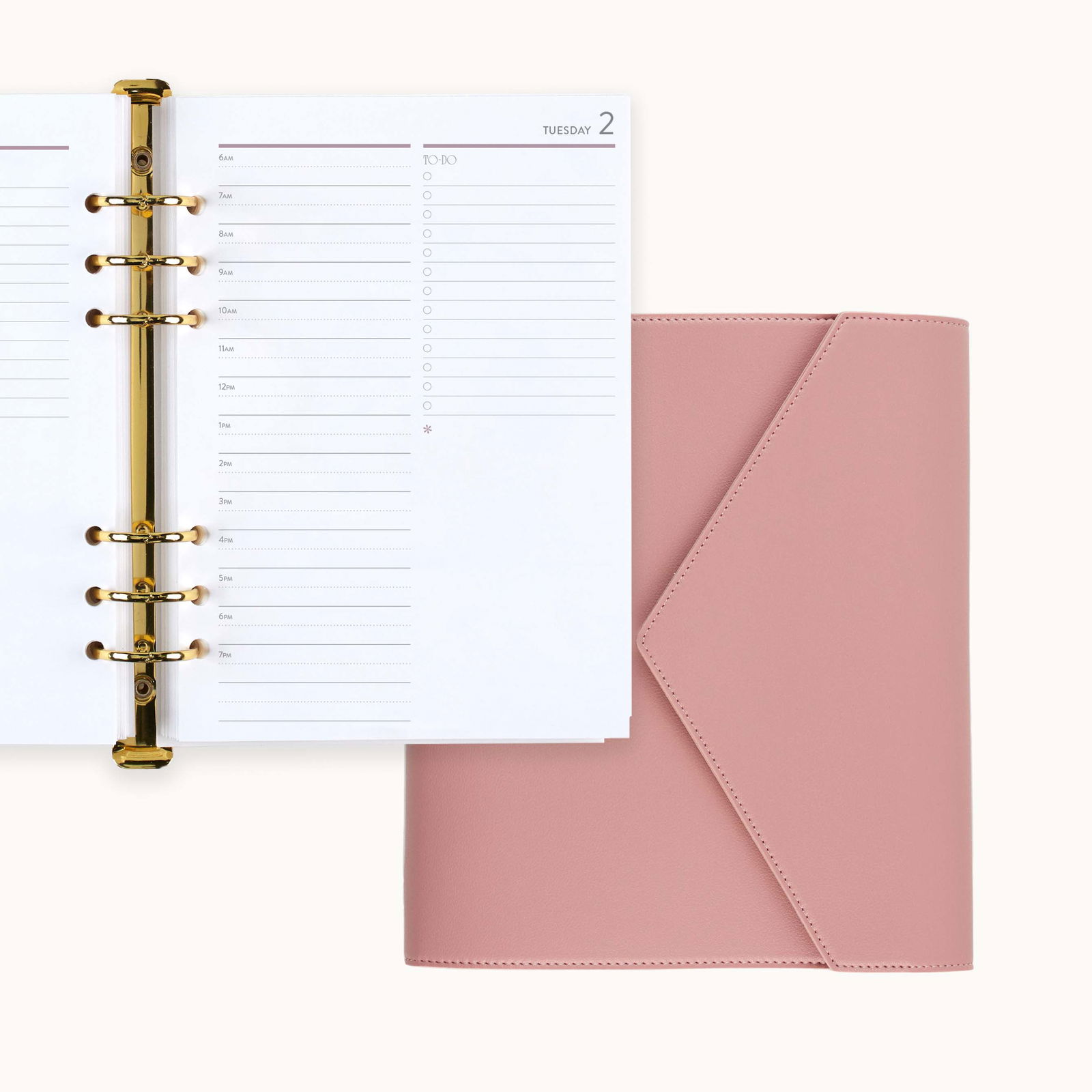 Blush A5 Daily LifePlanner Ring Agenda | Erin Condren