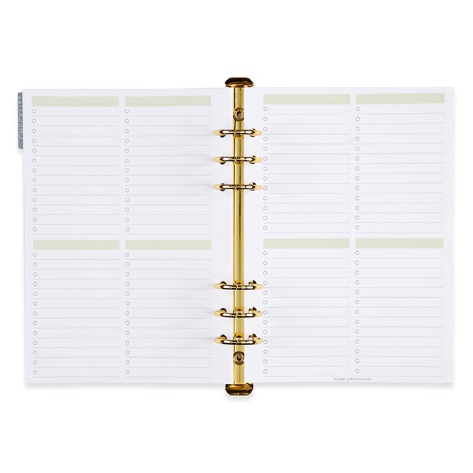 Champagne A5 Ring Agenda Cover Gold by Erin Condren | 2023