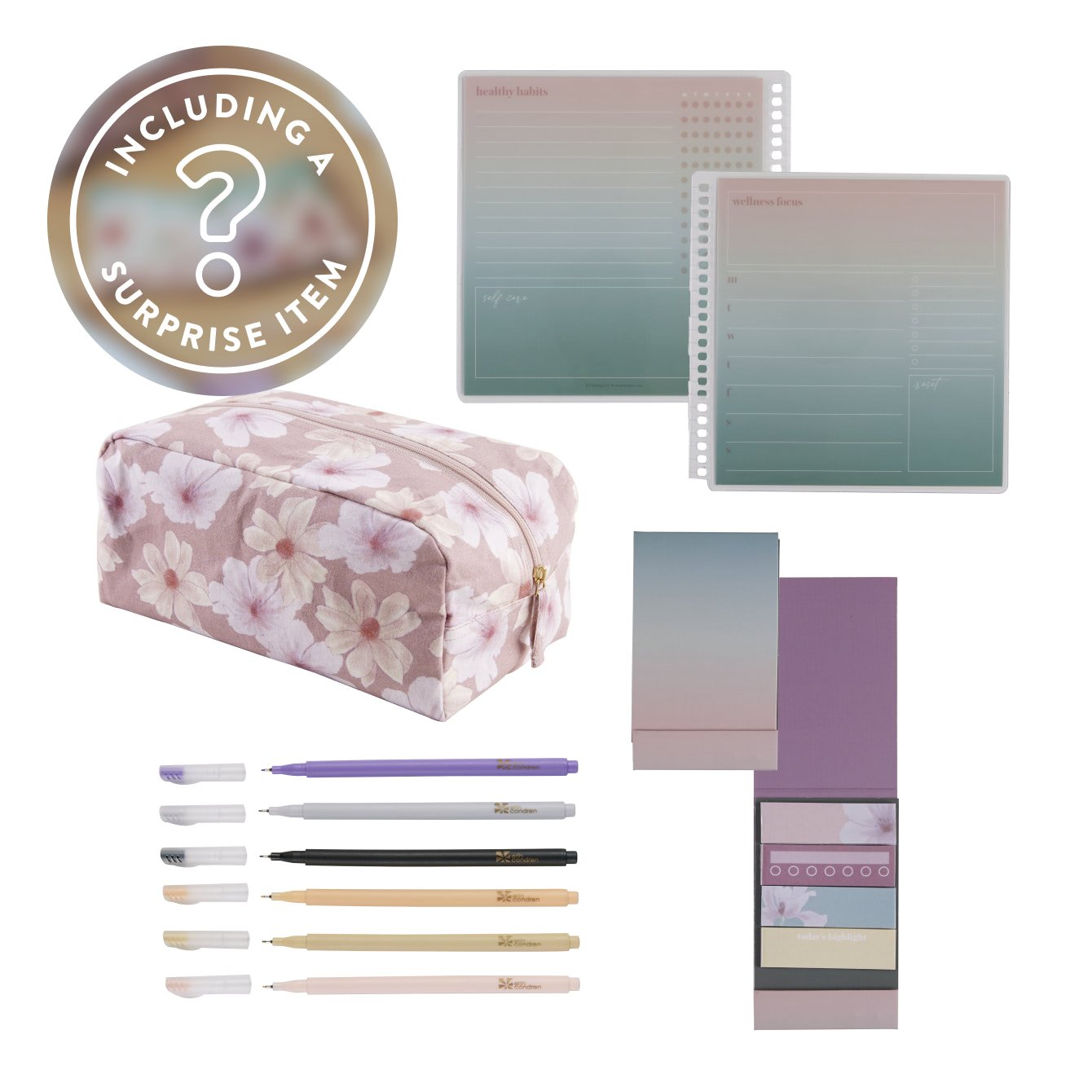 Teacher Accessories Bundle by Erin Condren