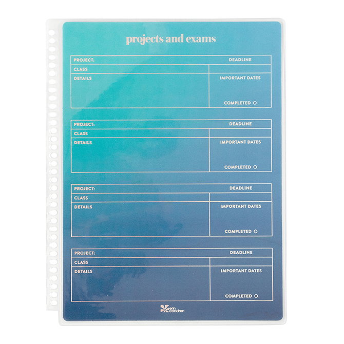 Colorblends Projects and Exams Dashboard