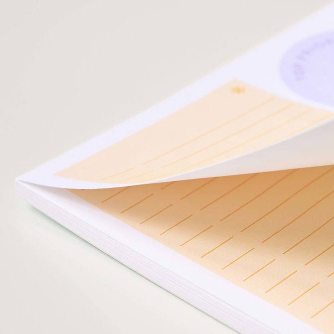 Daily Priorities Notepad | Erin Condren