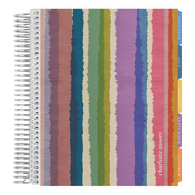 https://images.erincondren.com/LP23/LP23_Covers/LP23_55701_TIE_DYE_STRIPES_PLATINUM.jpg