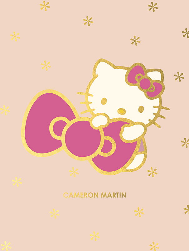 Hello Kitty Asterisk and Bow Covers | Erin Condren