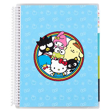 Livro de adesivos - Hello Kitty and Friends. Desenhos coloridos bonitos  perfeitos para colecionar, codificação de cores e organização. 12 páginas  de 416 adesivos no total de Erin Condren.