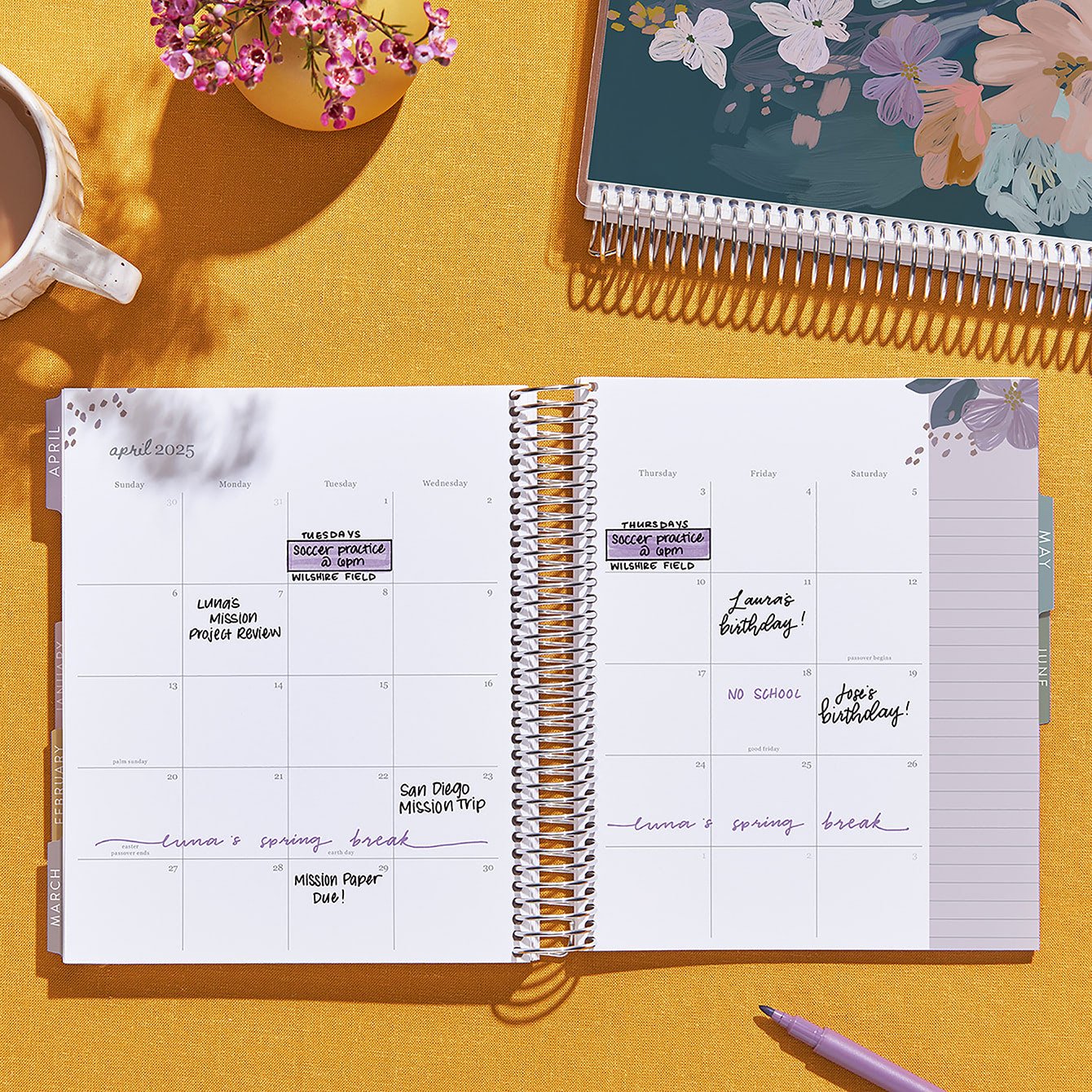 Watercolor Meadow Daily LifePlanner™ Duo | Erin Condren