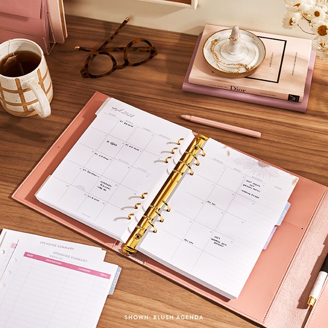 Blush A5 Daily LifePlanner Ring Agenda Erin Condren