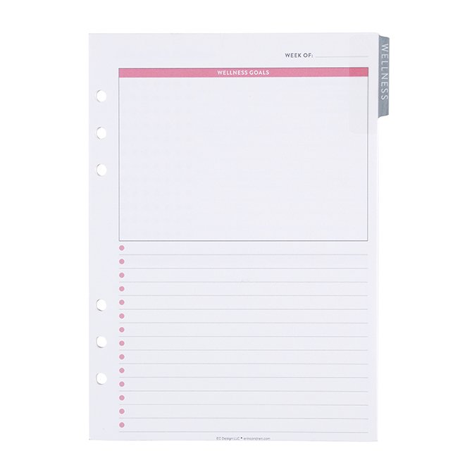  A5 Size Planner Weekly Lesson Inserts, Fits with Kate