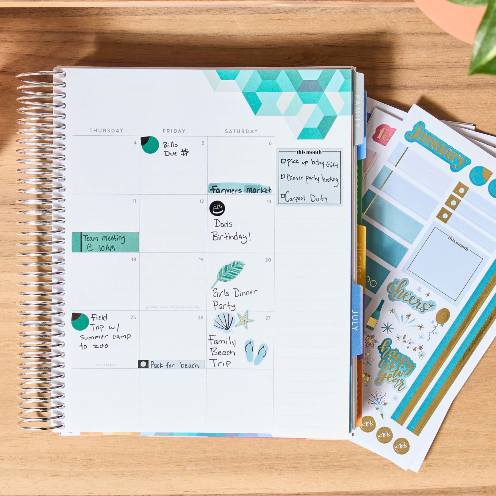 Monthly Sticker Book Edition 11 | Erin Condren