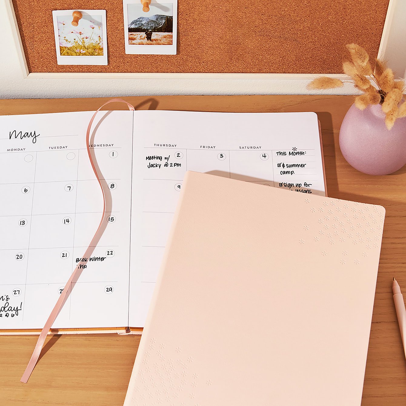 Blush Asterisk 8x10 Customizable Softbound LifePlanner™ Erin Condren