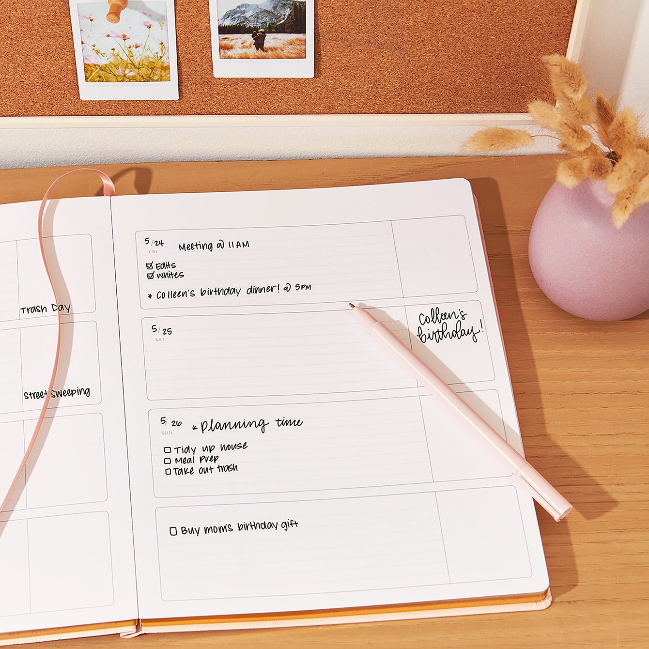 Blush Asterisk 8x10 Customizable Softbound LifePlanner™ Erin Condren