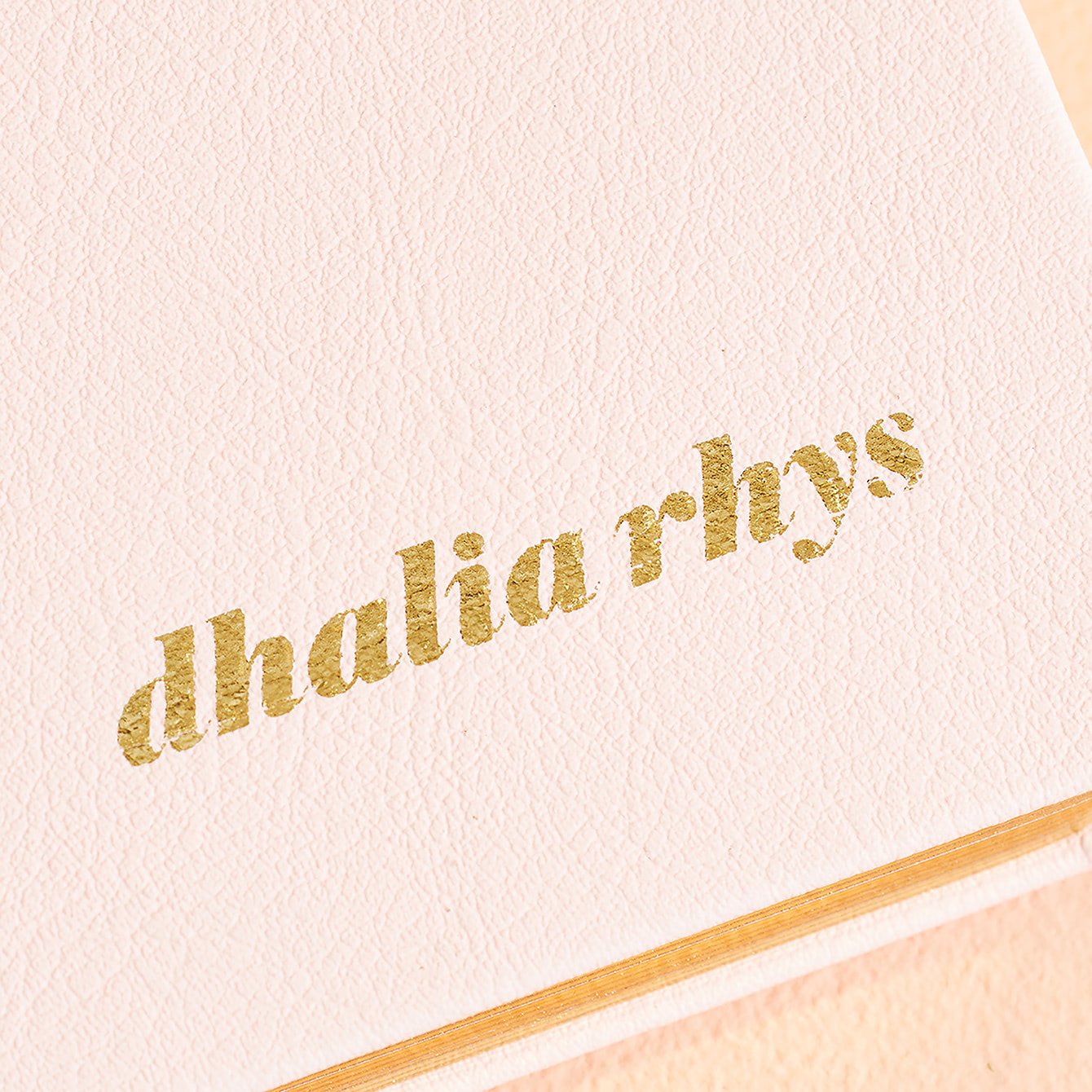 Blush Asterisk 8x10 Customizable Softbound LifePlanner™ Erin Condren