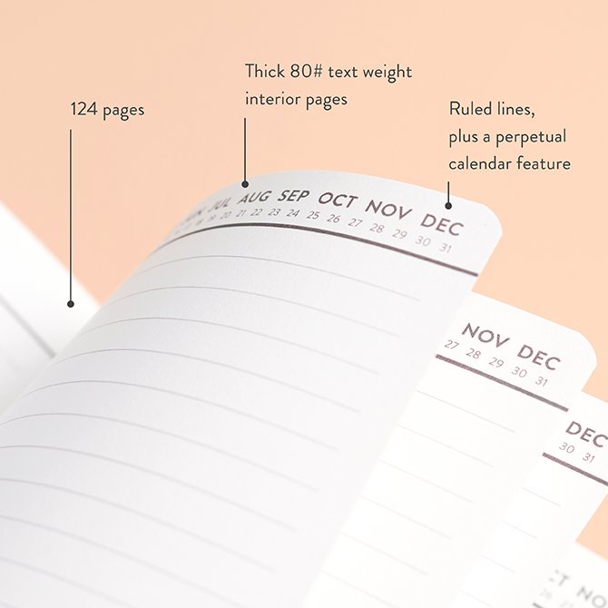 Colorful Cosmos Lined Softbound Notebook Erin Condren