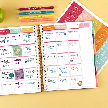 Stickers | Fun and Functional Sticker Sets - Erin Condren