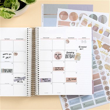 Wildflowers Assorted A5 Life Planner Sticker Pack by Erin Condren