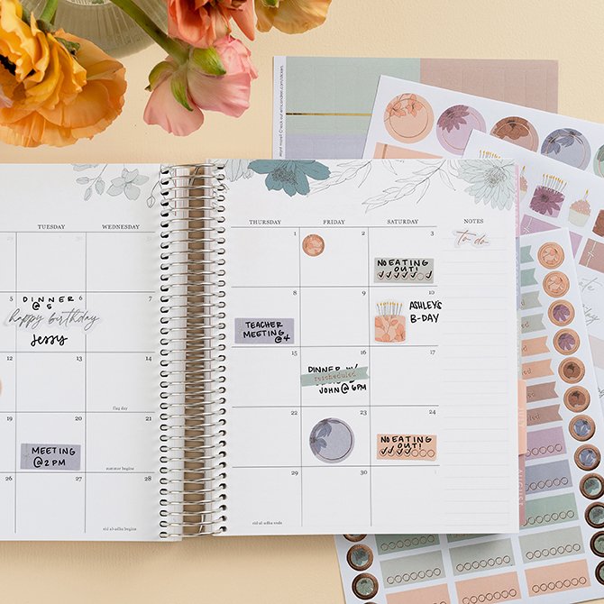 Harmony Colorful Assorted A5 LifePlanner™ Sticker Pack