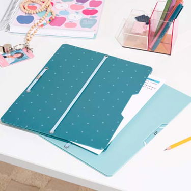 Comprehensive Folder Expandable File Folders 2-Pack | Erin Condren