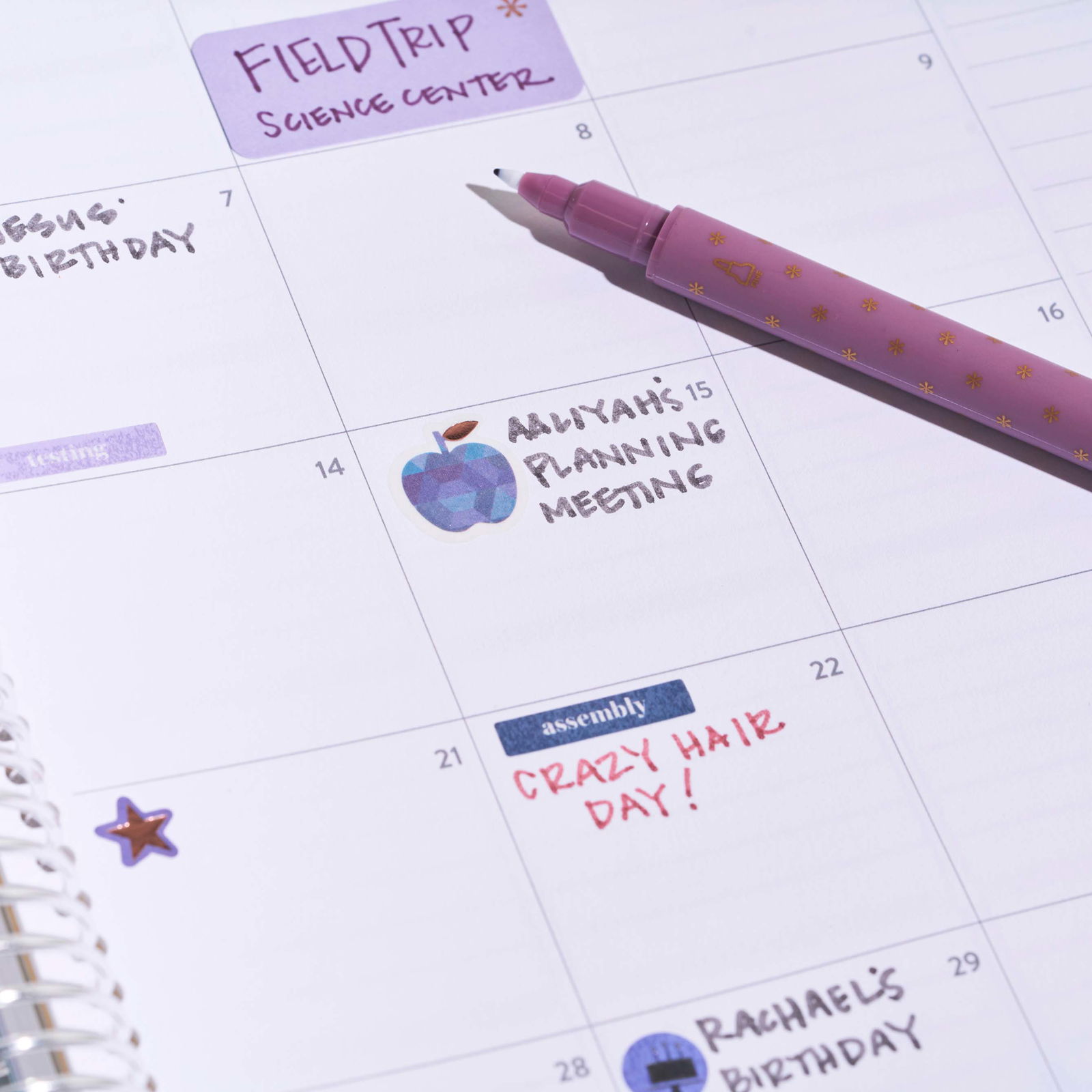 erin condrenエリンコンドレン2019年プランナーとステッカーブック Amazon.com: Erin Condren Designer Desk Accessories - Monthly