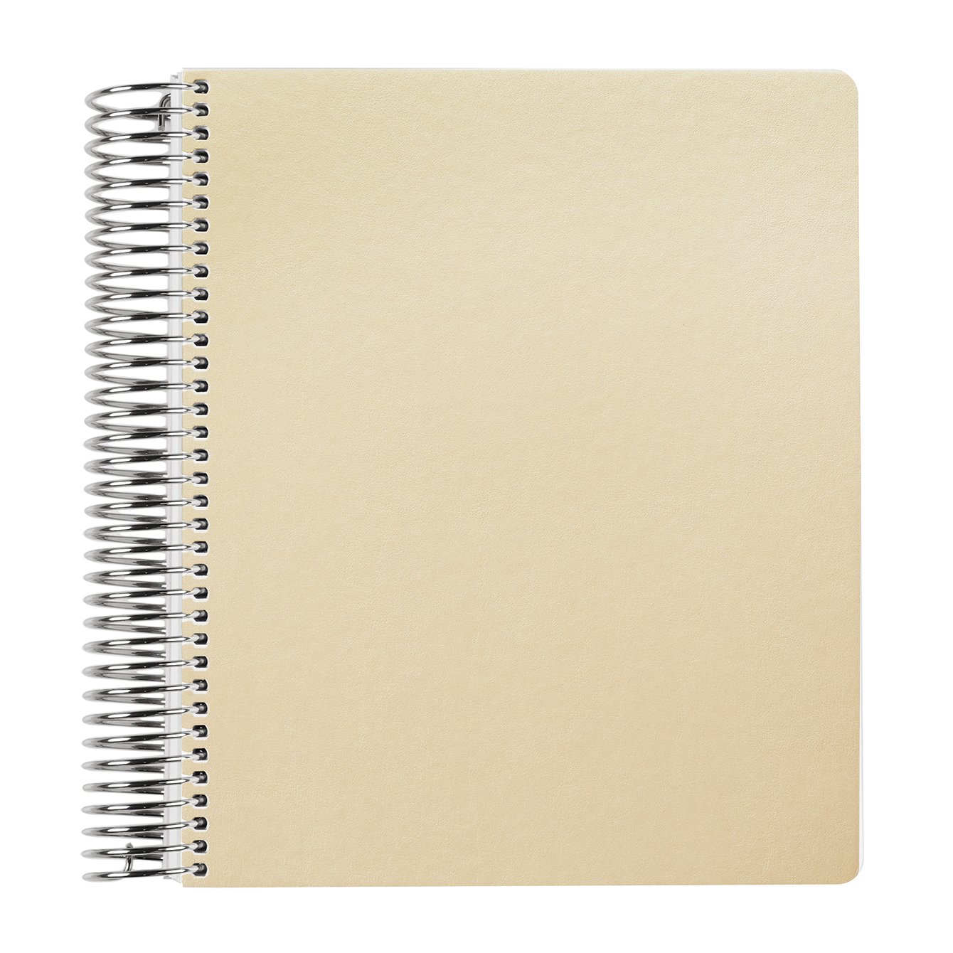 Champagne Snap-In Vegan Leather LifePlanner™ | Erin Condren