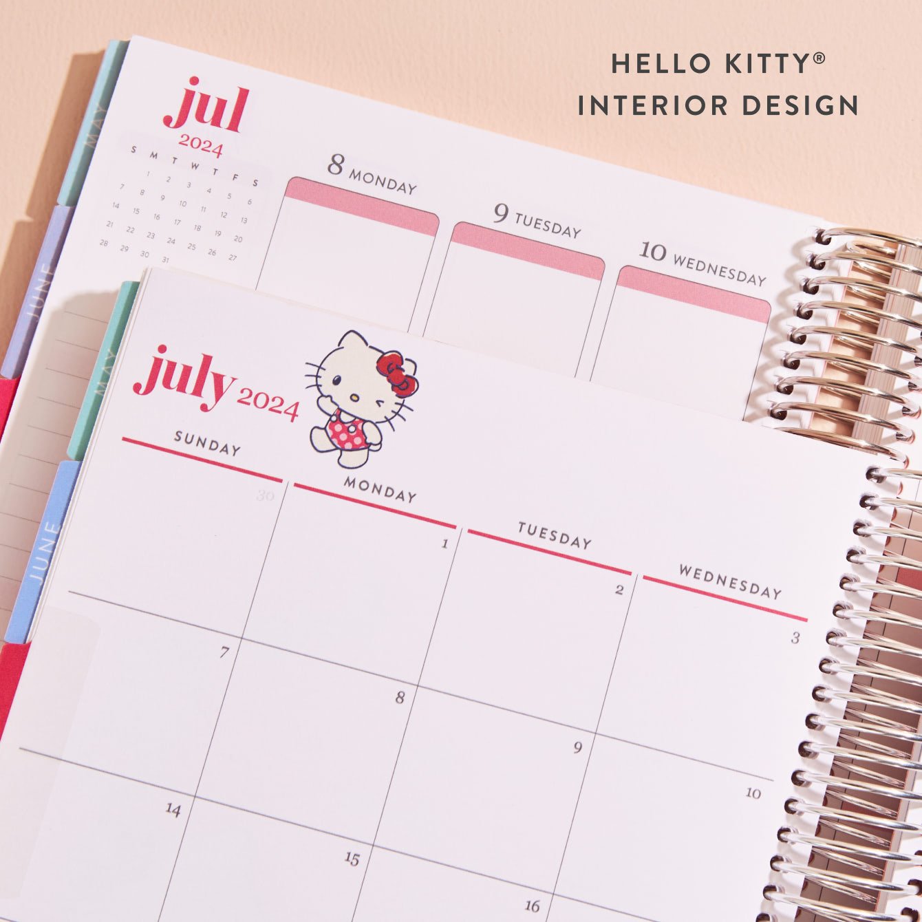 Sanrio Characters 2024 Daily Wall Calendar