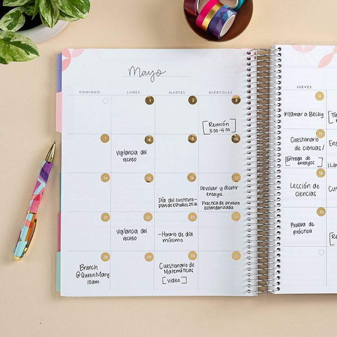 Rainbow Apples Customizable Spanish Teacher Lesson Planner Erin Condren