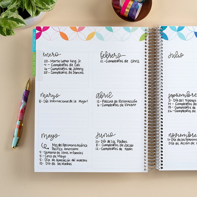 Rainbow Apples Customizable Spanish Teacher Lesson Planner Erin Condren