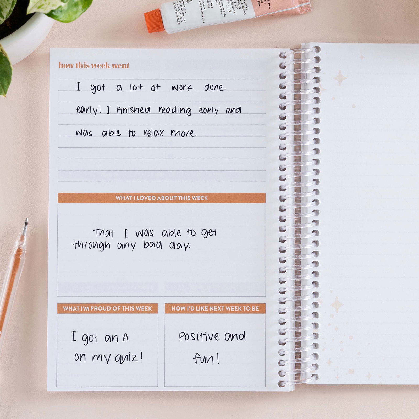 Daisy Dream Middle School Diary | Erin Condren