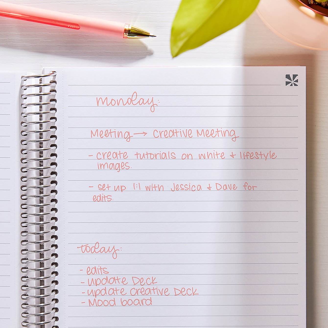 erin です! Pumpkin Bounty Notebook | Erin Condren