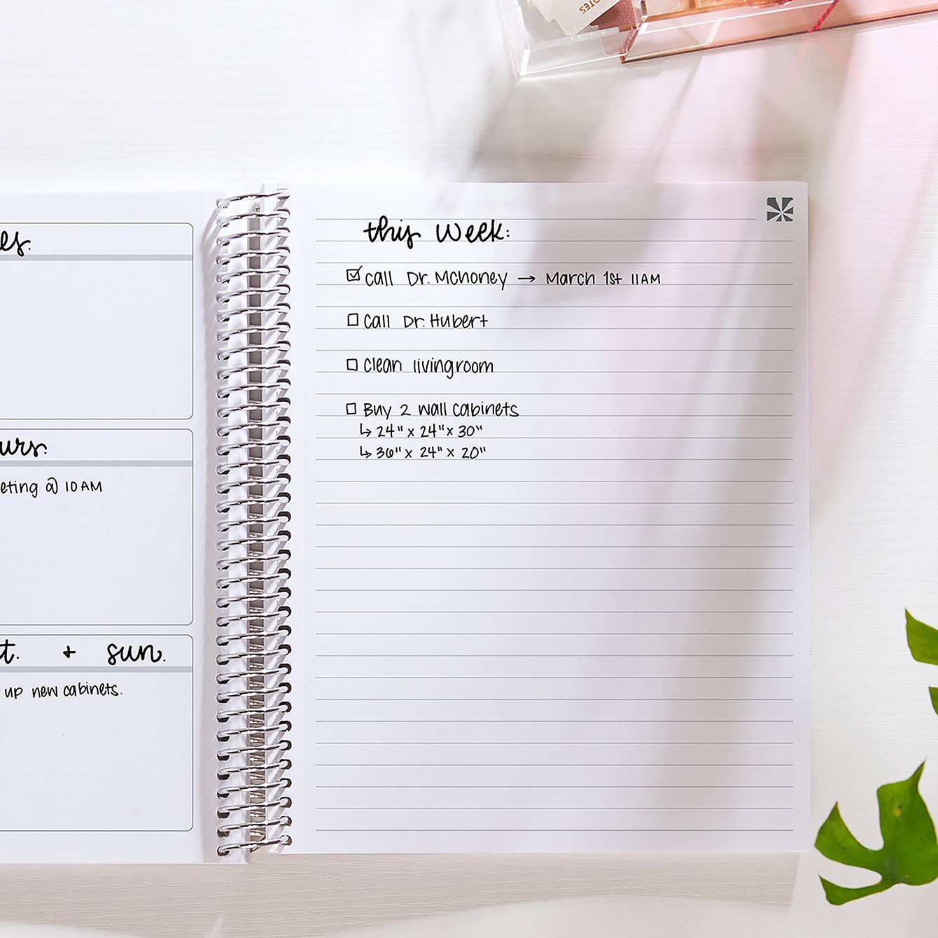 EttaVee Floranova Notebook | Erin Condren