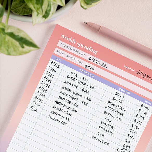 ErinCondren Expense Tracker Notebook